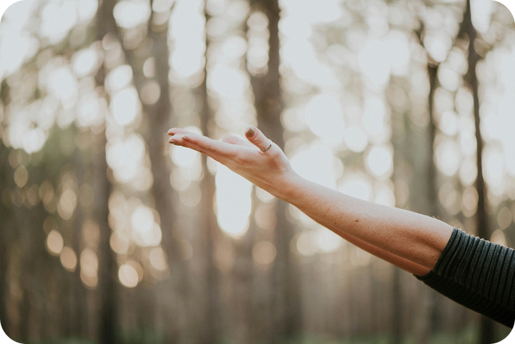 Hand reaching toward sunlight in nature, symbolizing hope and connection